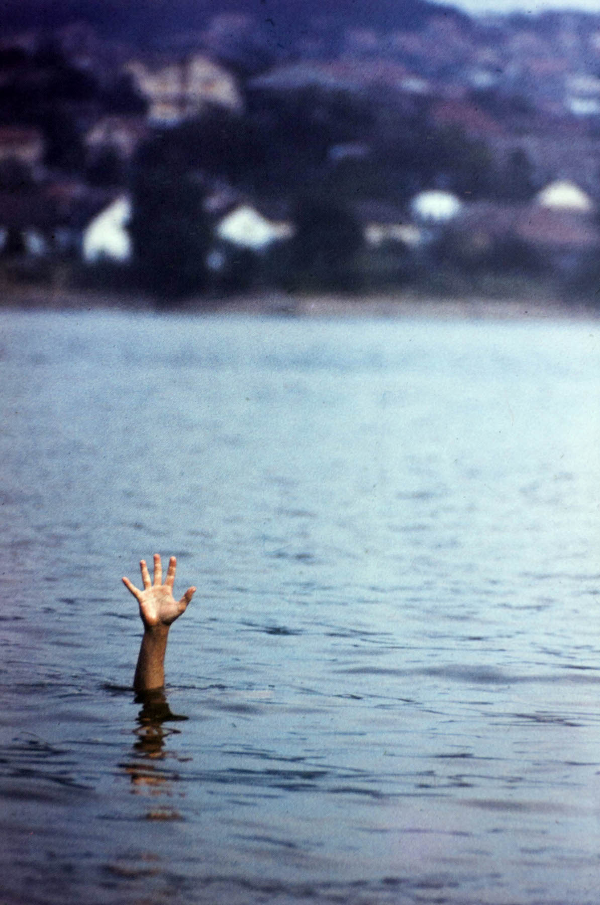 Лажњак, позира.